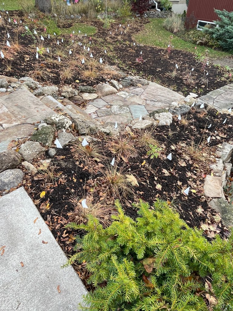 photo of a garden with small white flags